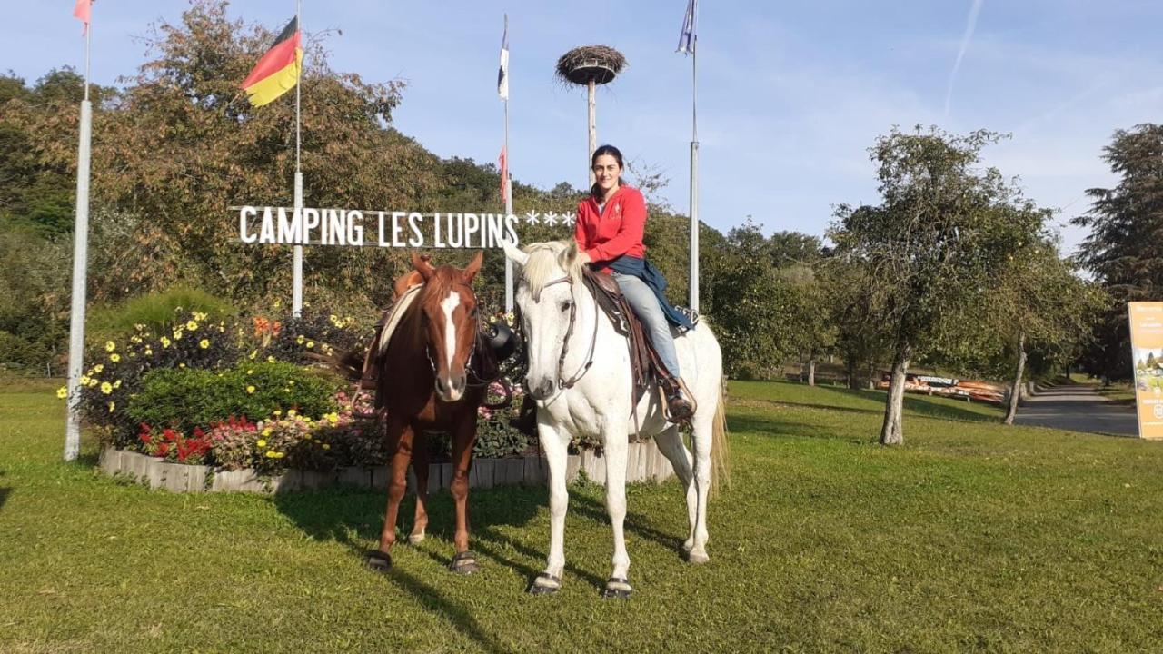 Hotel Camping Les Lupins Seppois-le-Bas Exterior foto